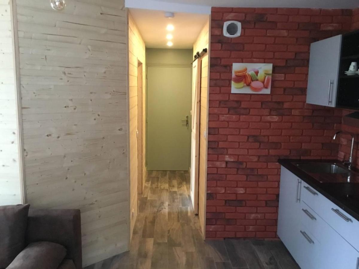 Les Amethystes Apartment Le Mont-Dore Bagian luar foto